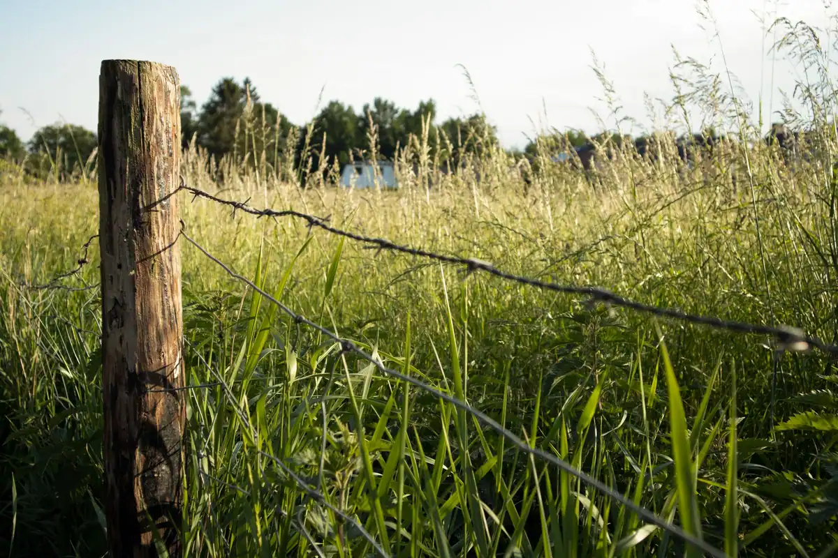 Gard din sârmă ghimpată și stâlp de lemn care marchează hotarul unui teren