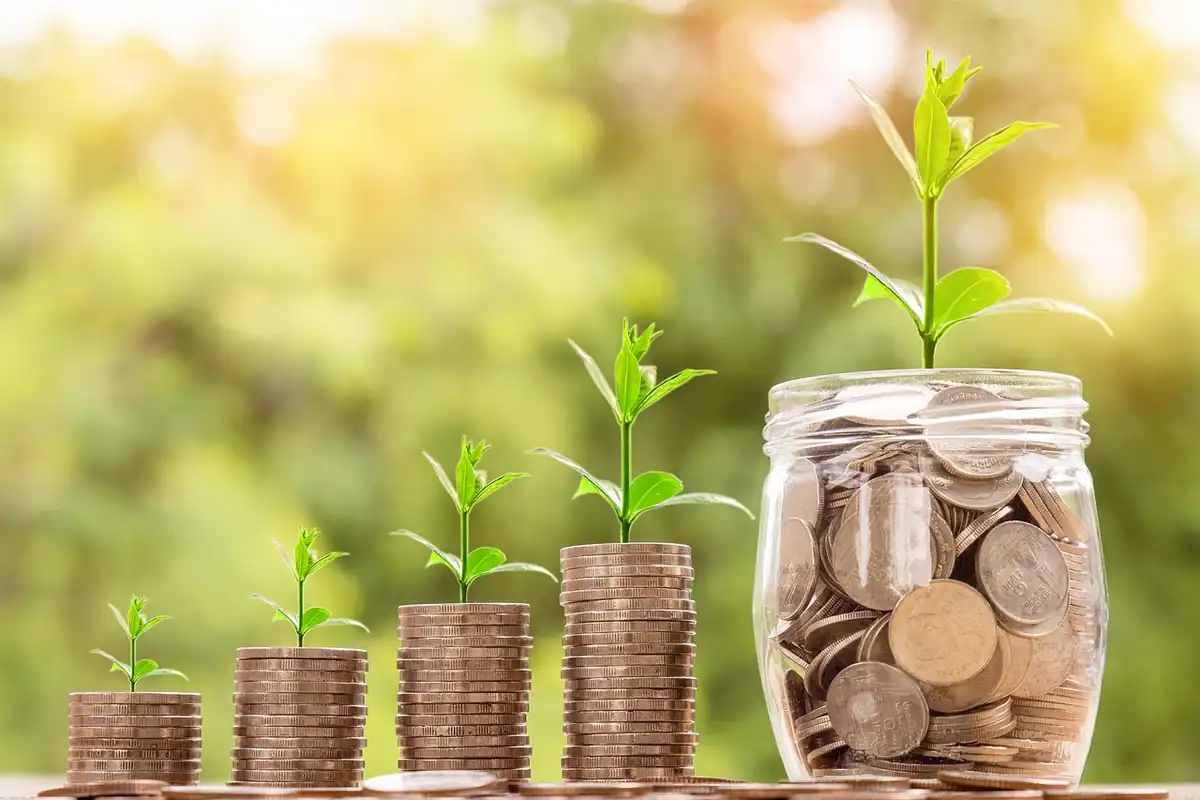 Teancuri de monede și borcan cu bani din care cresc plante verzi