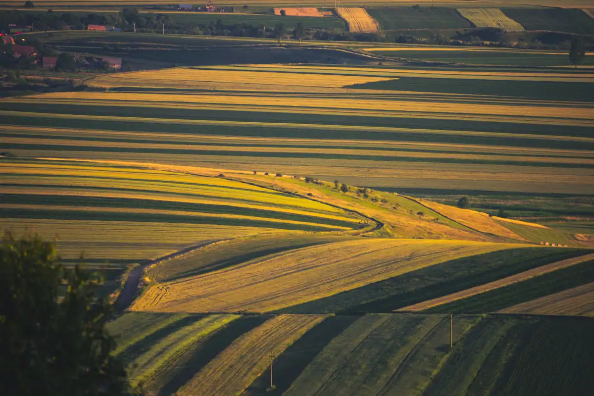 Vedere aeriană asupra unor parcele agricole cultivate, luminate de soarele apusului